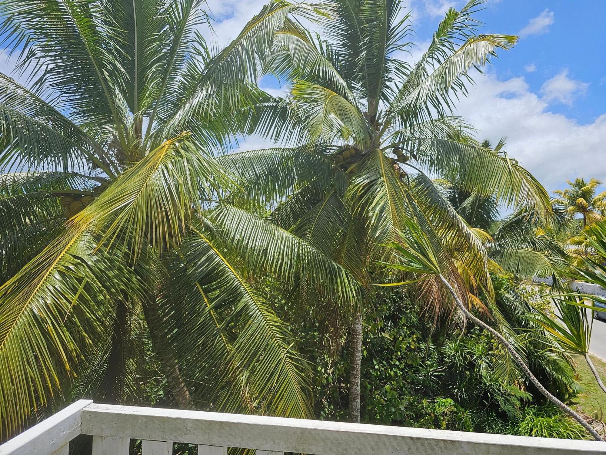 Heleni Jessop'S Fatahega Vila Alofi Exterior foto